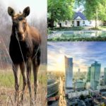 Łazy Palace locale (collage)